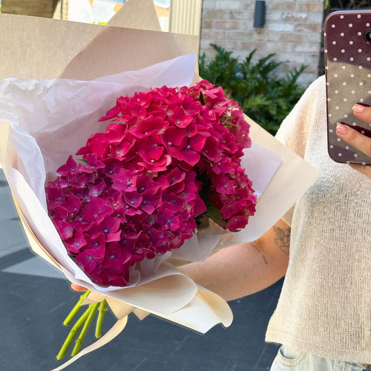 SPECIAL Hydrangea market bunch