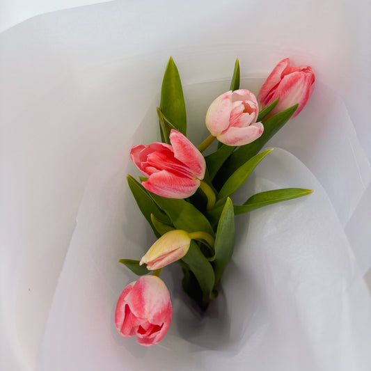 Tulip market bunch
